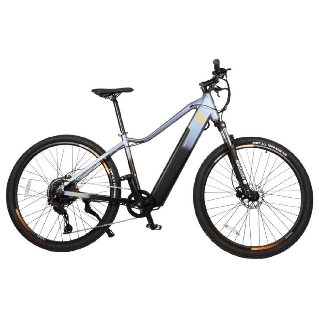 e-Bike Avanti