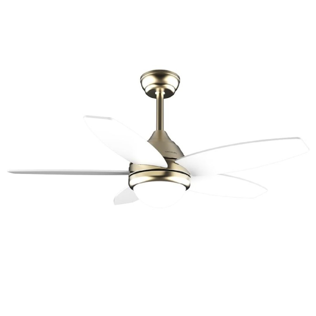 EnergySilence Aero 4200 GoldLightWood